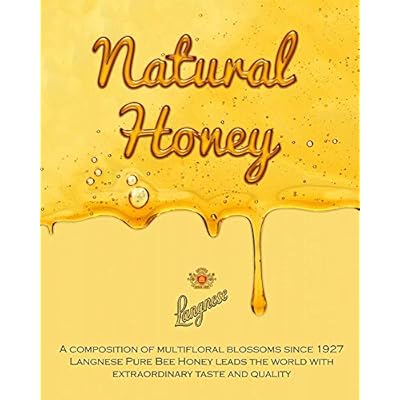 Langnese Bee Easy Wild Flower Honey 500g