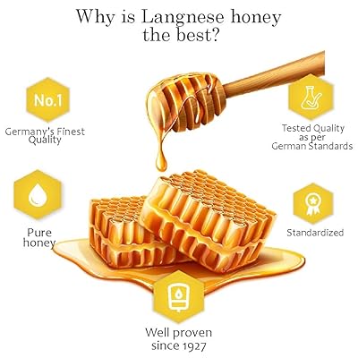 Langnese Bee Easy Wild Flower Honey 500g