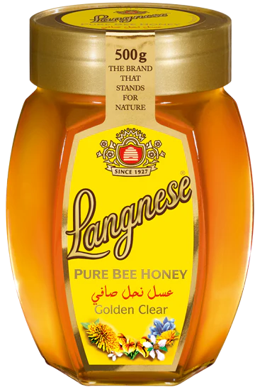 Langnese Pure Bee Honey 500g