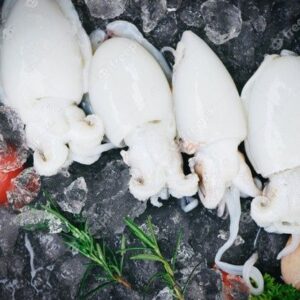 Sea Cube Squad Fish 500g