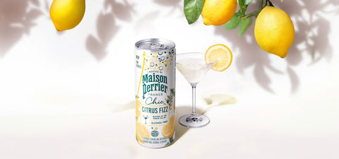 Maison Perrier Magnetic Juice Lemon 250ml